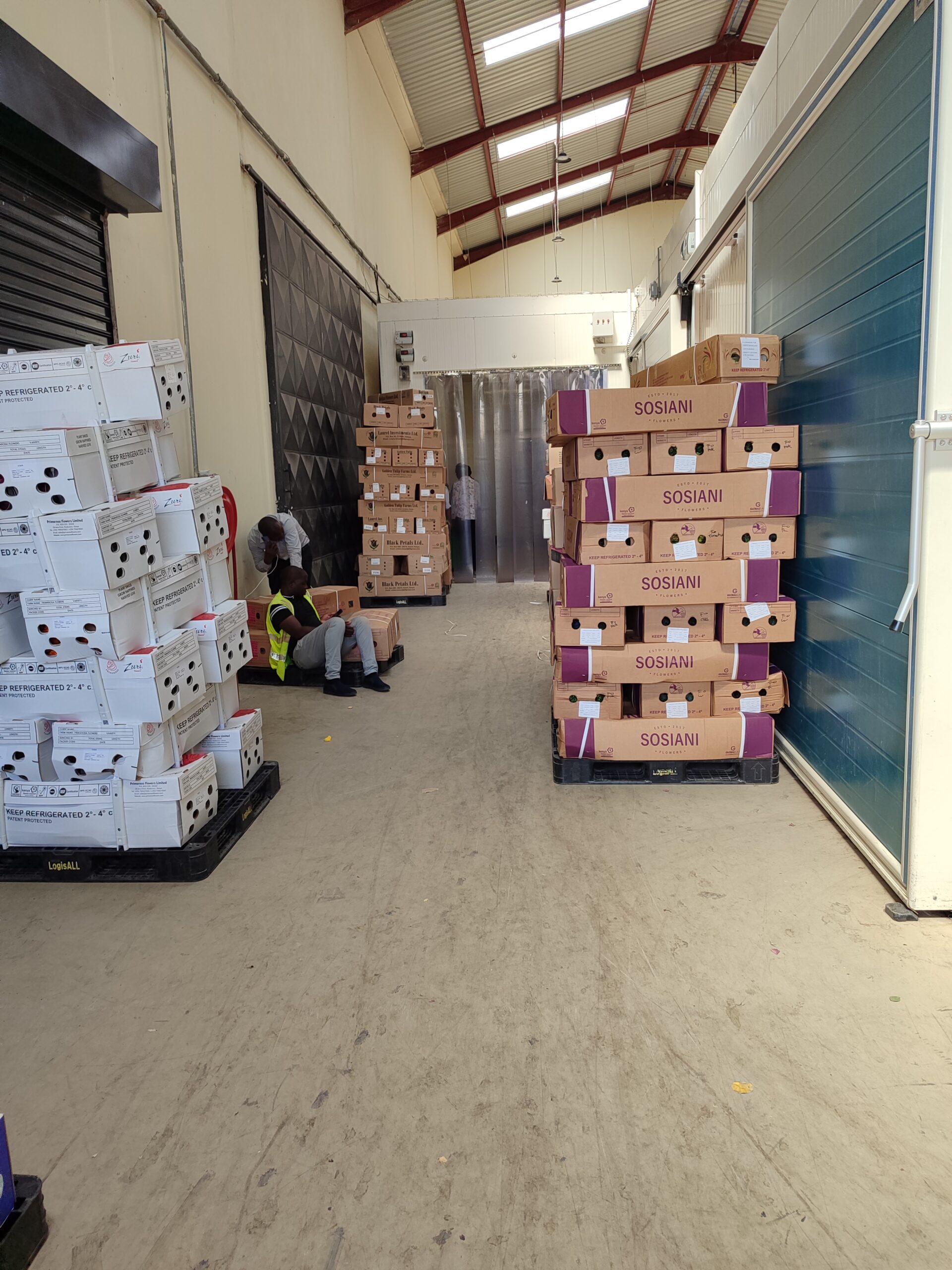 Export Carton Assembly