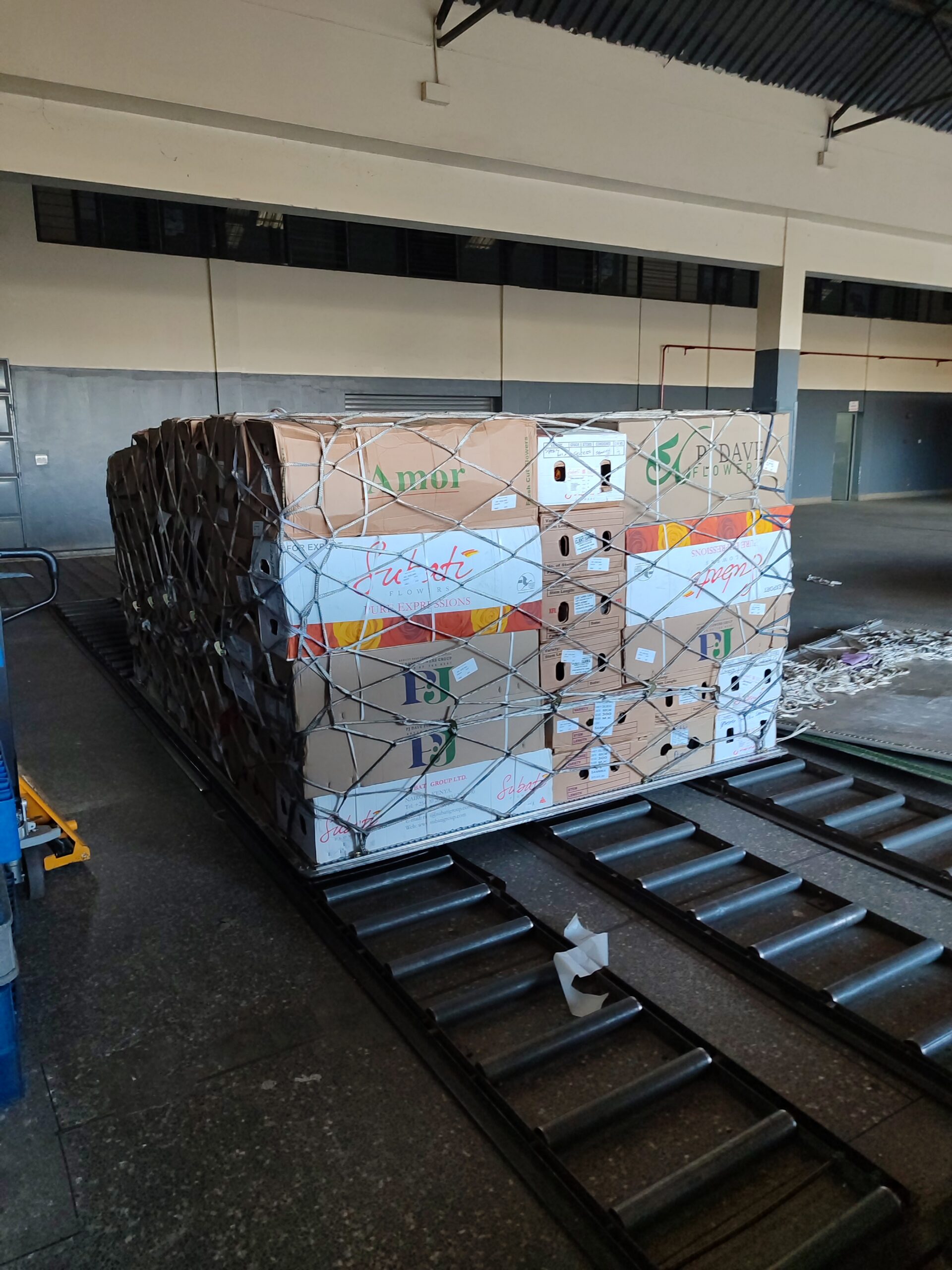 Cold Chain Palletization